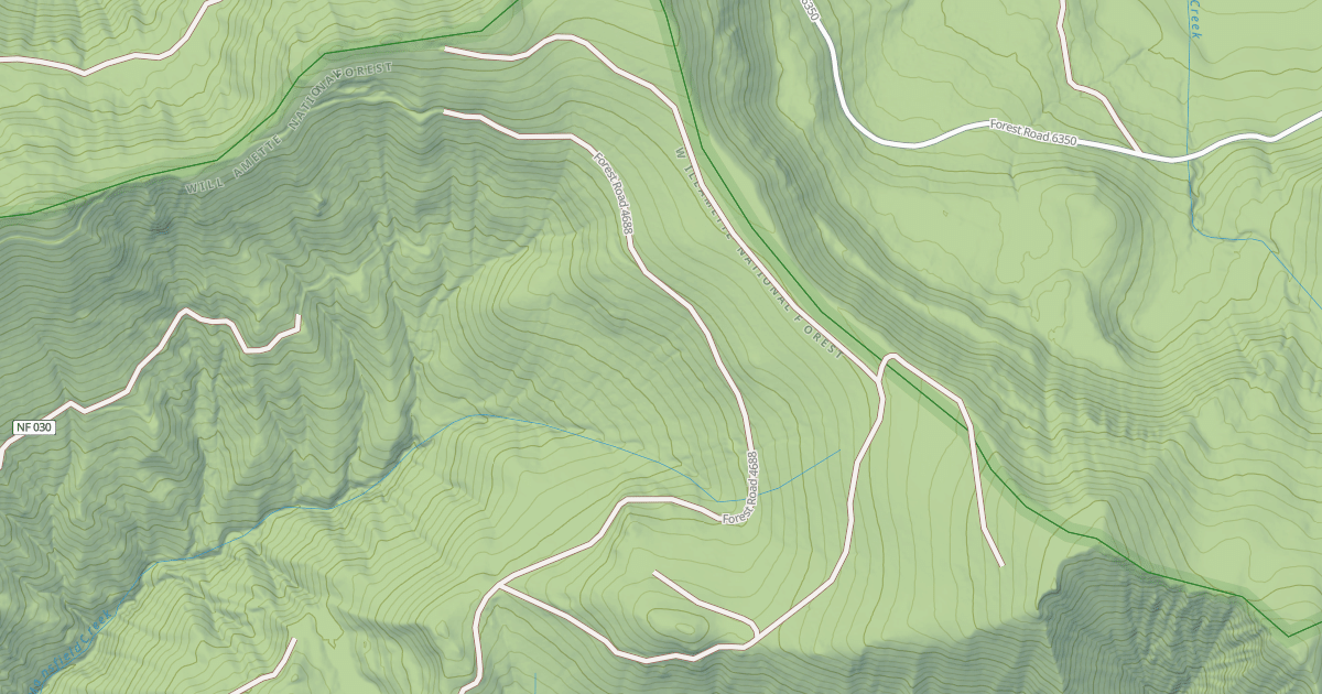 Map preview of USFS National Forest System Roads {BDA8AD02-C84A-4580-852C-A7FCFE32982A}