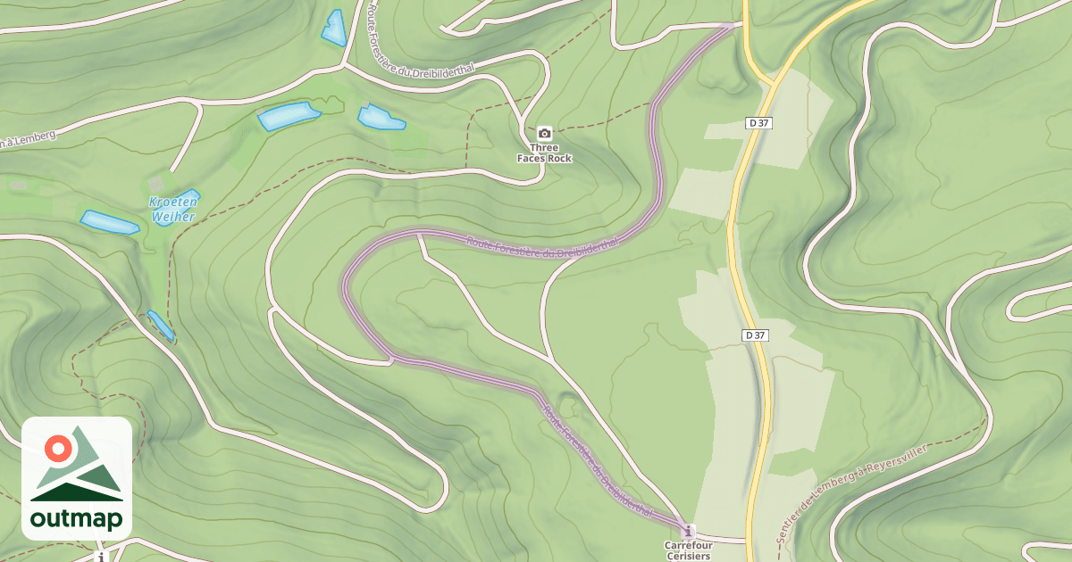 Map of Route Forestière du Dreibilderthal