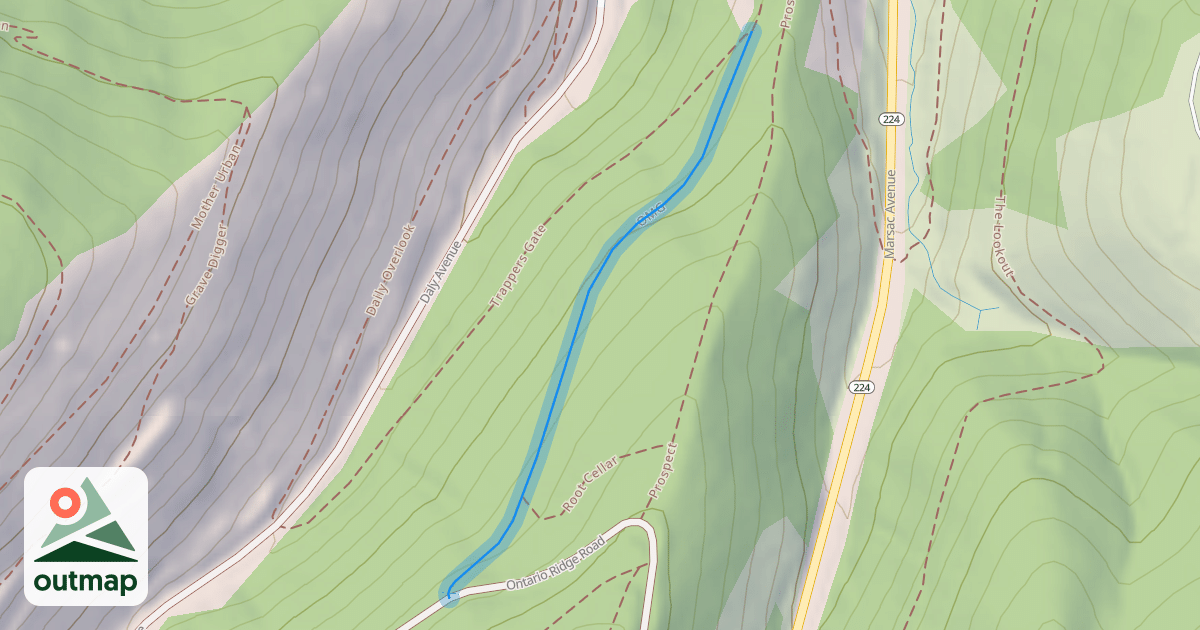 Map of OMG