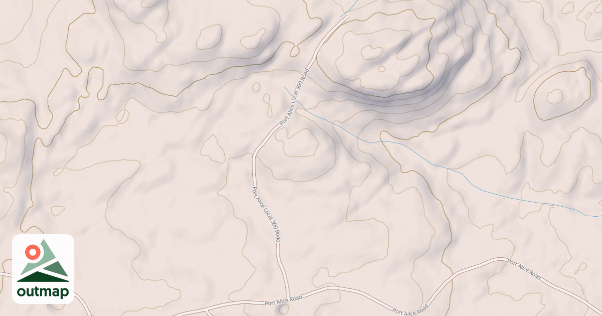 Map of PORT ALICE LOCAL 300