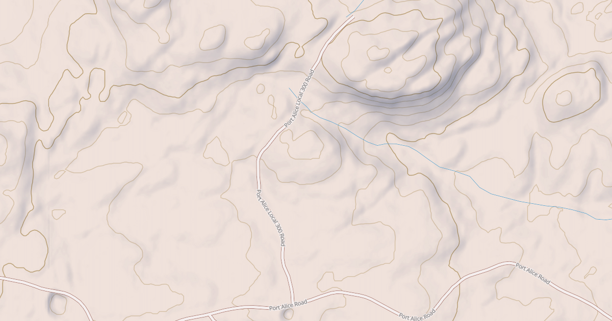 Map preview of PORT ALICE LOCAL 300