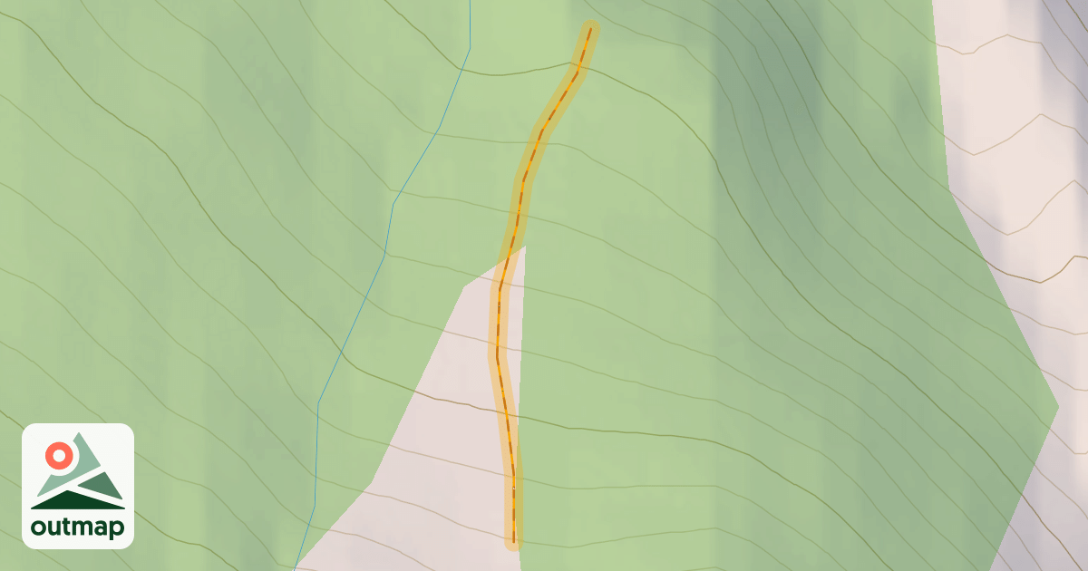 Map of Bonney Trees