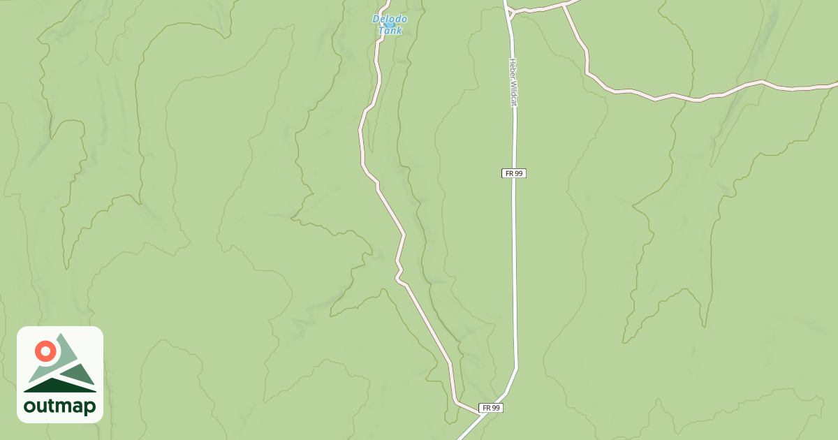 Map of USFS National Forest System Roads {62EE7D9B-78E8-4DAF-887E-B25E91B8AB4F}