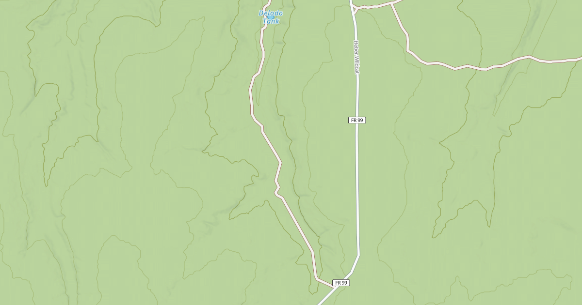 Map preview of USFS National Forest System Roads {62EE7D9B-78E8-4DAF-887E-B25E91B8AB4F}