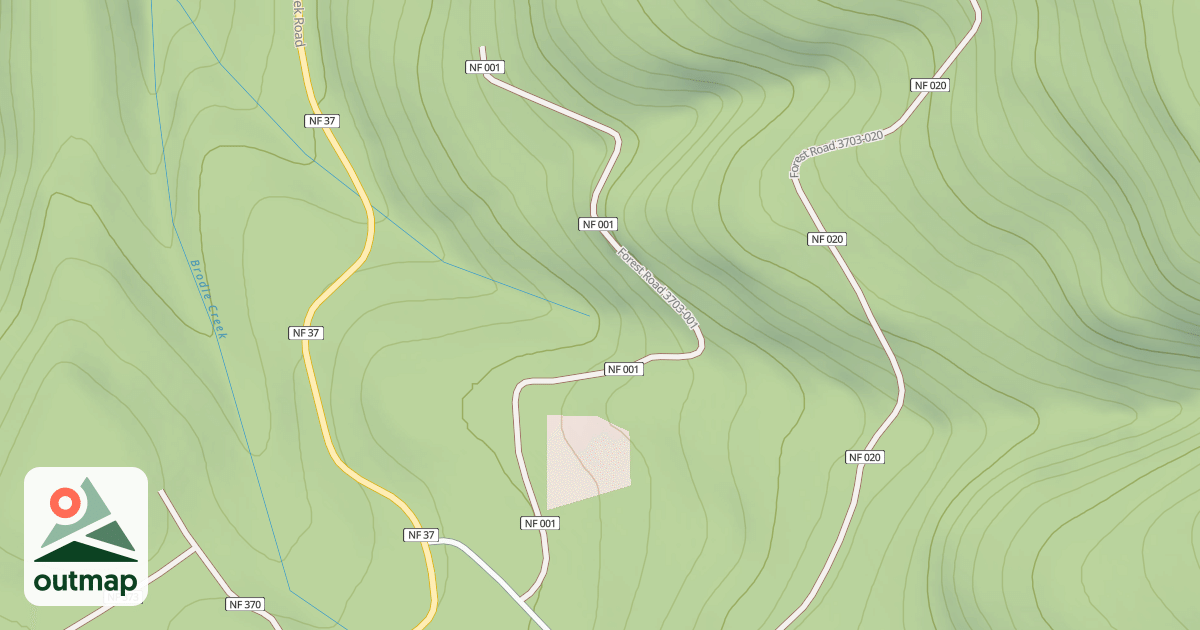 Map of BRODIE - TROUT T.S.'S