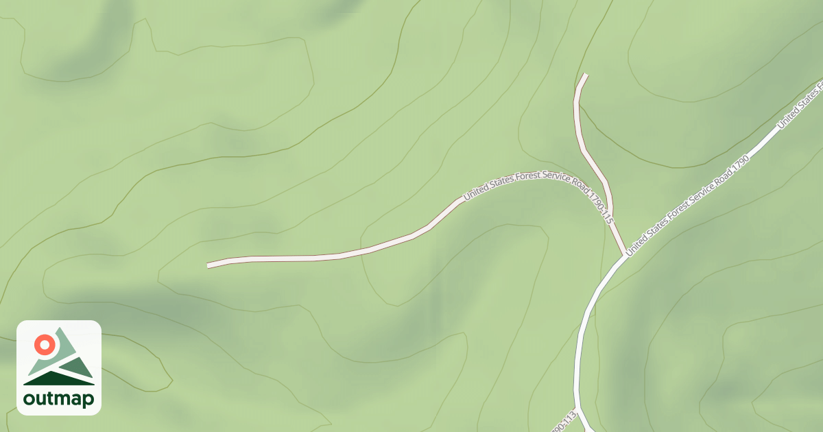 Map of USFS National Forest System Roads {039AF5EF-1B84-49D7-9718-1C0FC198612E}