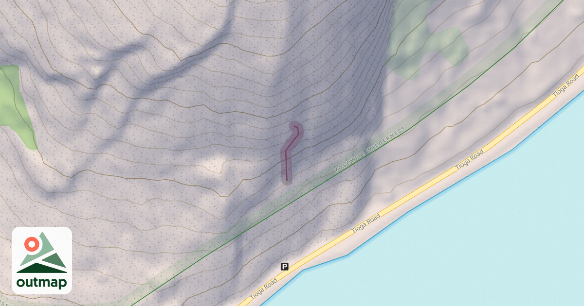 Map of Hermaphrodite Flake