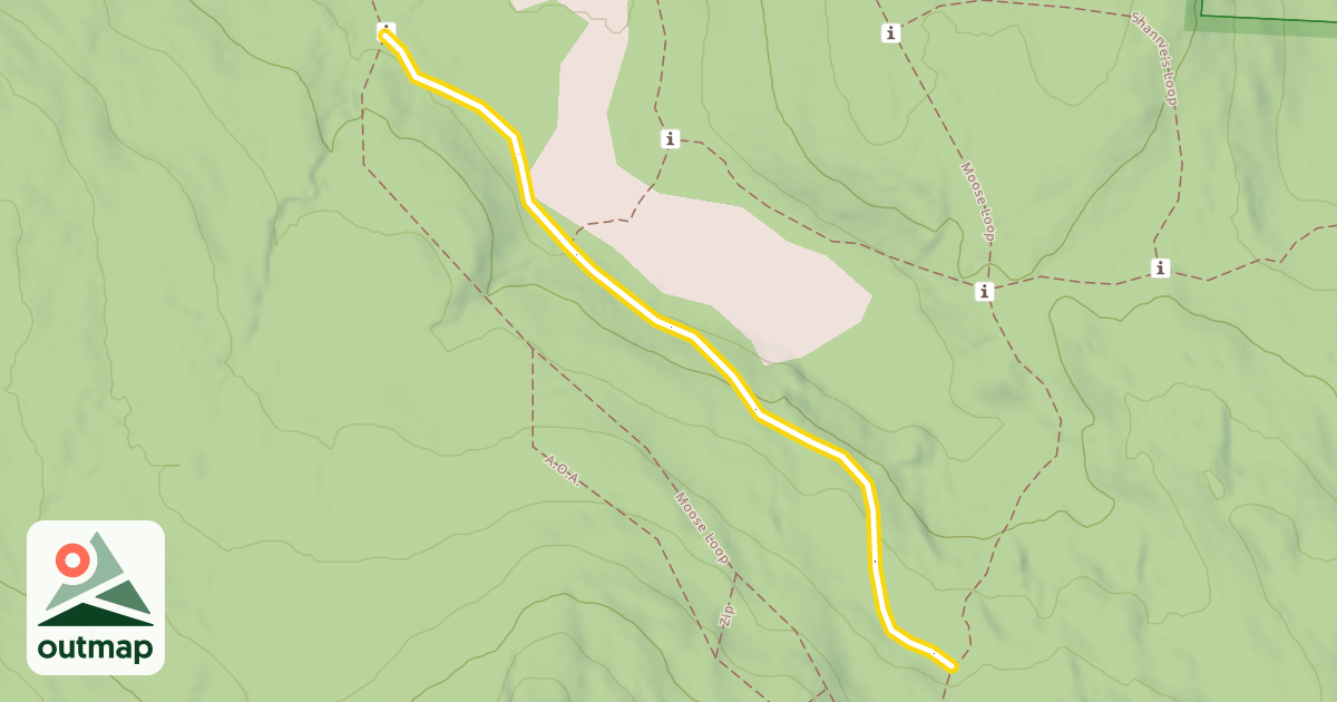 Map of Willow Run