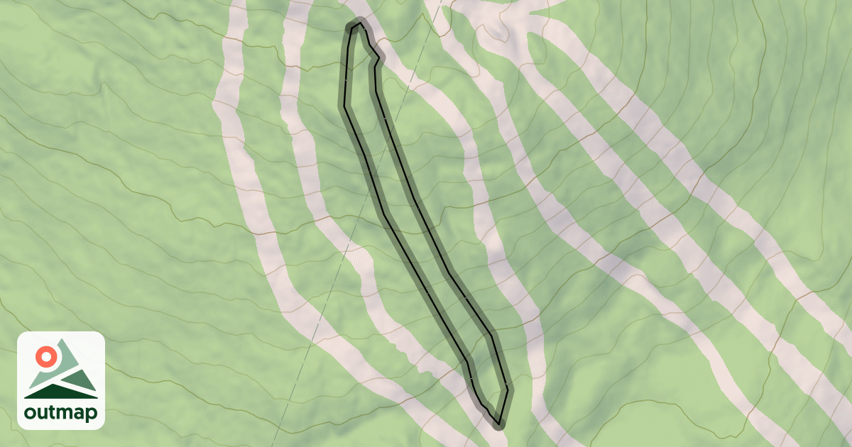 Map of Loose Spruce