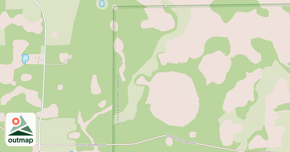 Map of USFS National Forest System Roads {9085B4DE-DE7B-4D72-9368-4175D8B94EF0}
