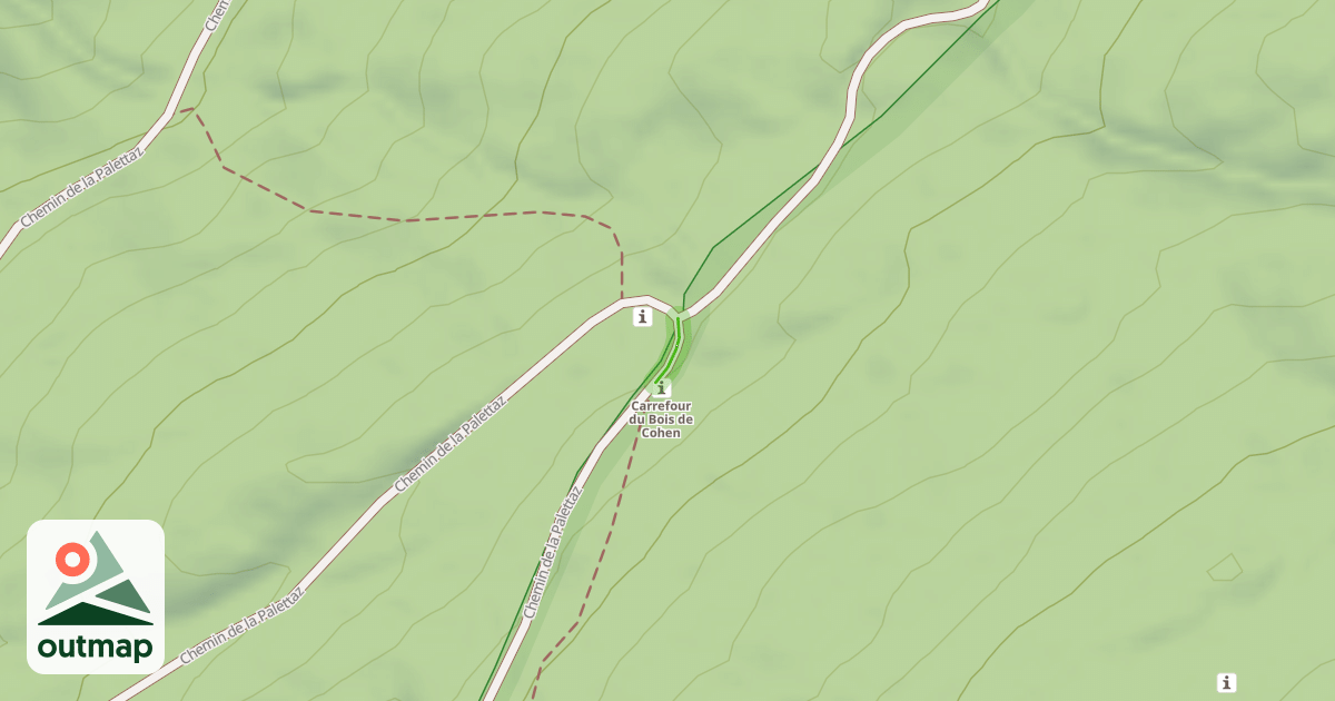 Map of Chemin de la Palettaz