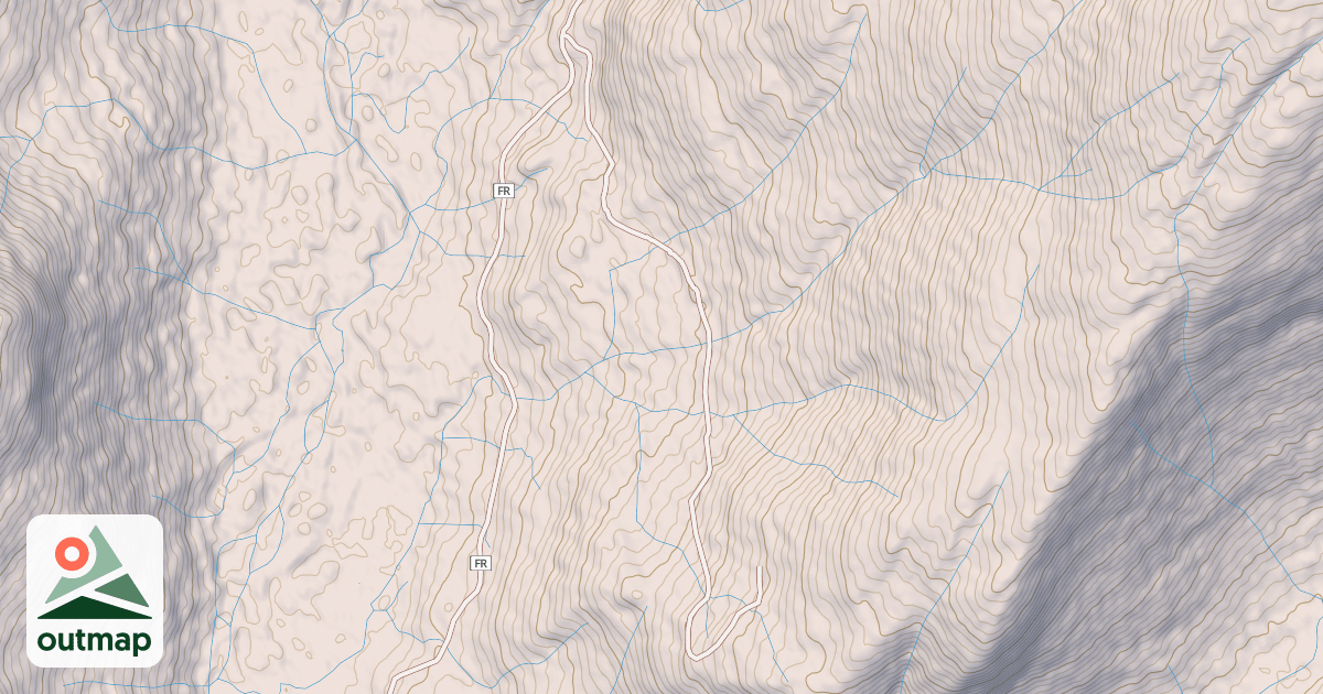 Map of USFS National Forest System Roads {C7AF0D62-40B3-4074-9738-38DF9DDD290F}