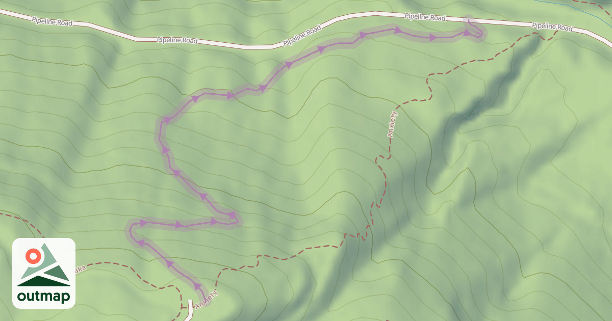 Map of NGT