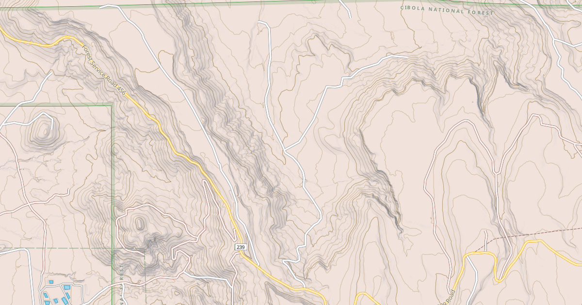 Map preview of USFS National Forest System Roads {BEB9BCB8-FFF1-4080-8ACE-BB902B456EE9}