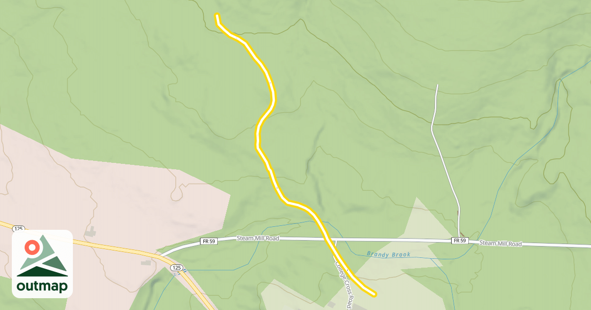 Map of Viola White
