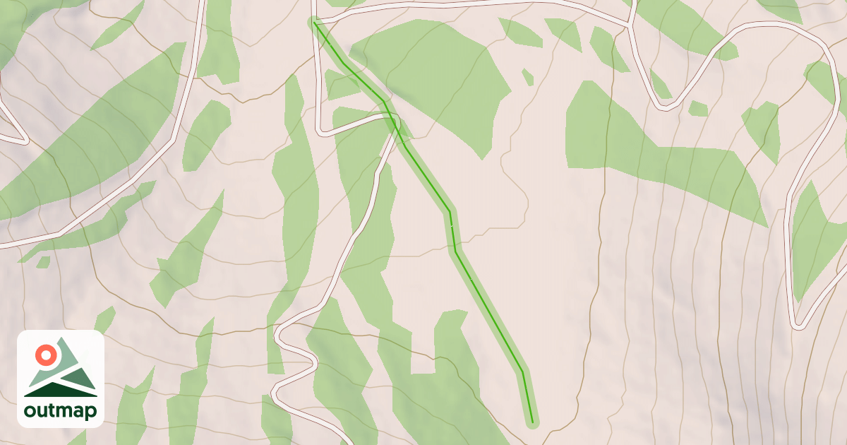Map of Forest Meadow