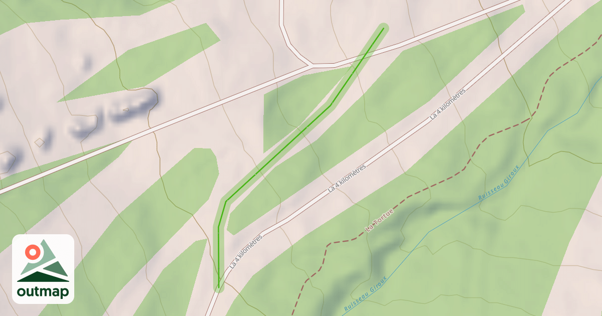 Map of 4 km