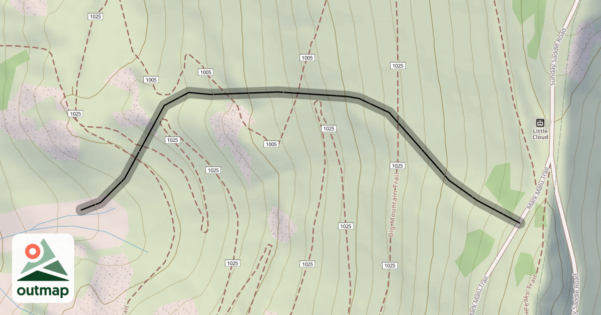 Map of Old Ladies