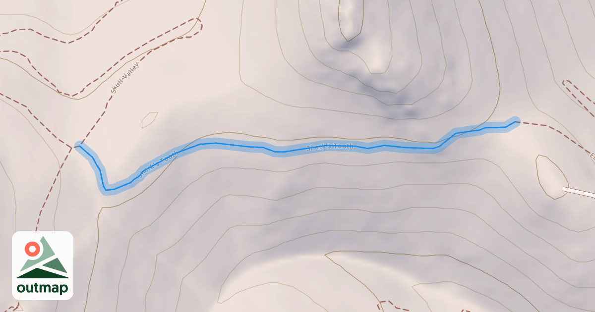 Map of Shark's Tooth