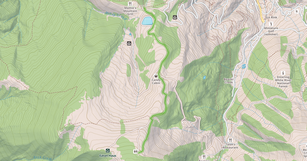Map preview of Primrose