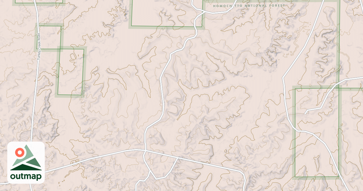 Map of USFS National Forest System Roads {6E1F420A-019C-447E-B039-4B7E82D39942}
