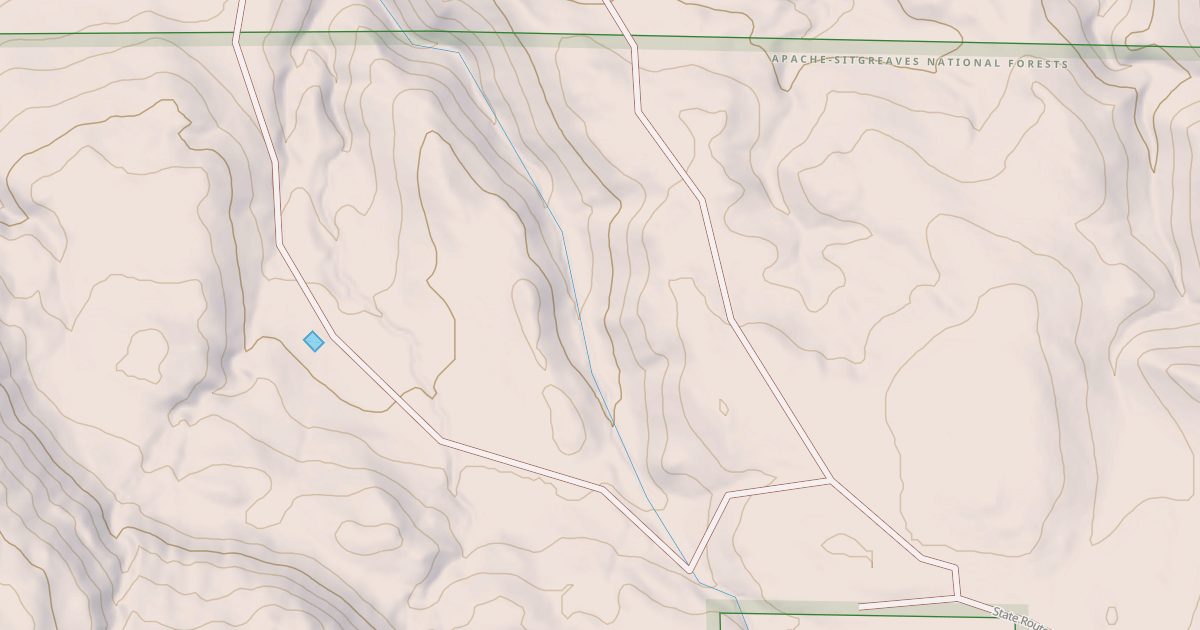 Map preview of USFS National Forest System Roads {627B8DE8-9979-4484-A62E-F5B240CD6629}