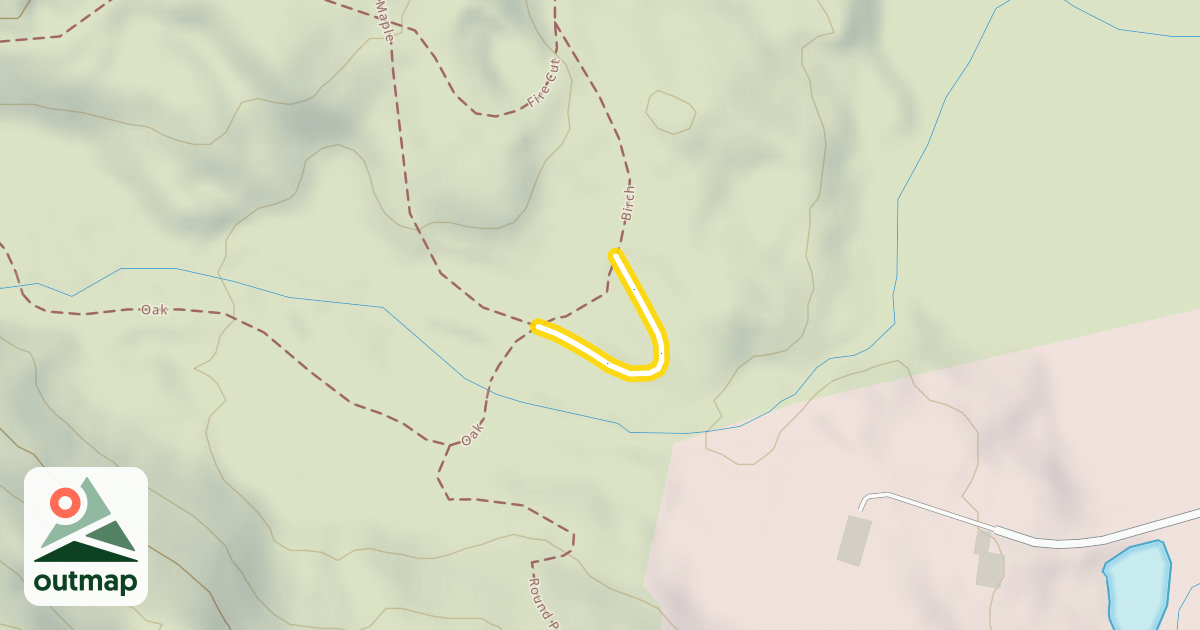 Map of Birch