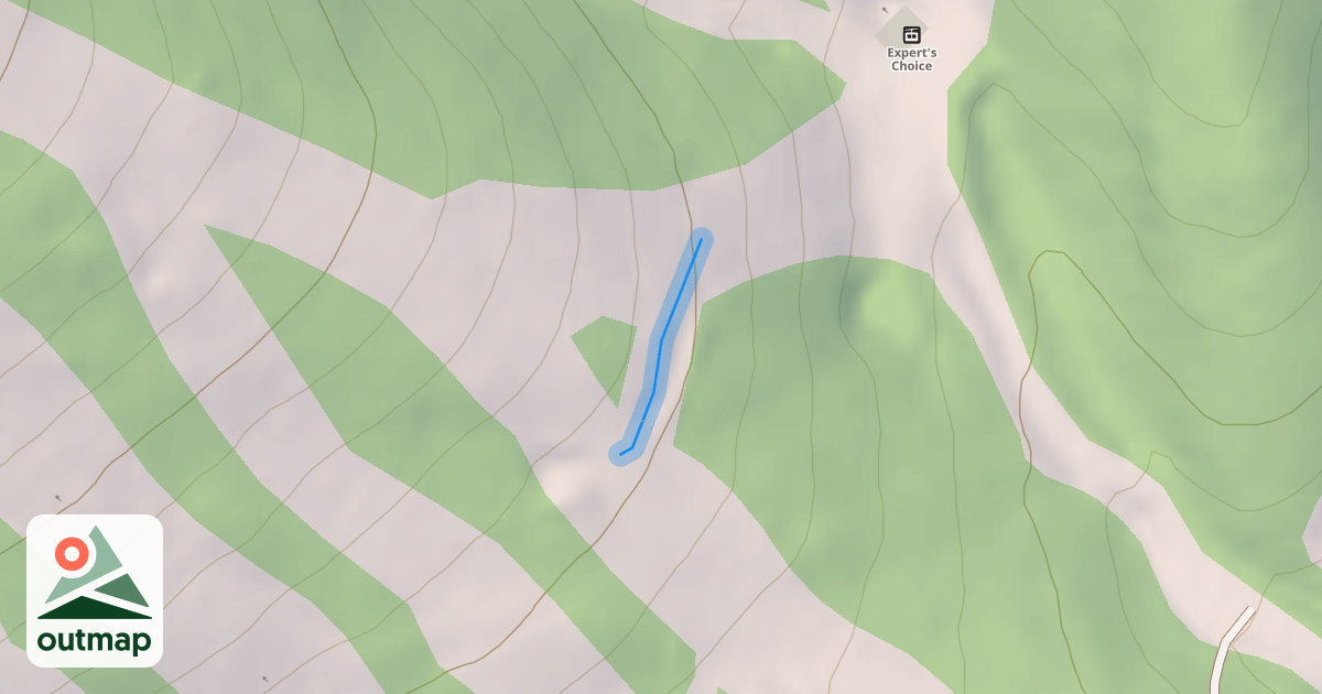 Map of Drop Out