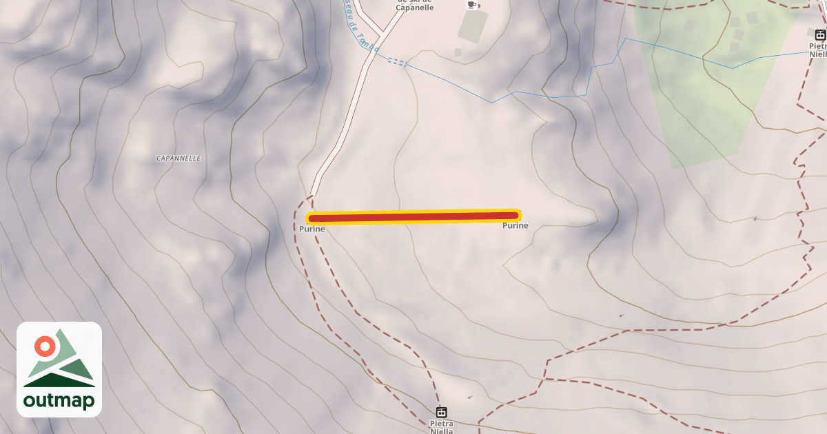 Map of Purine