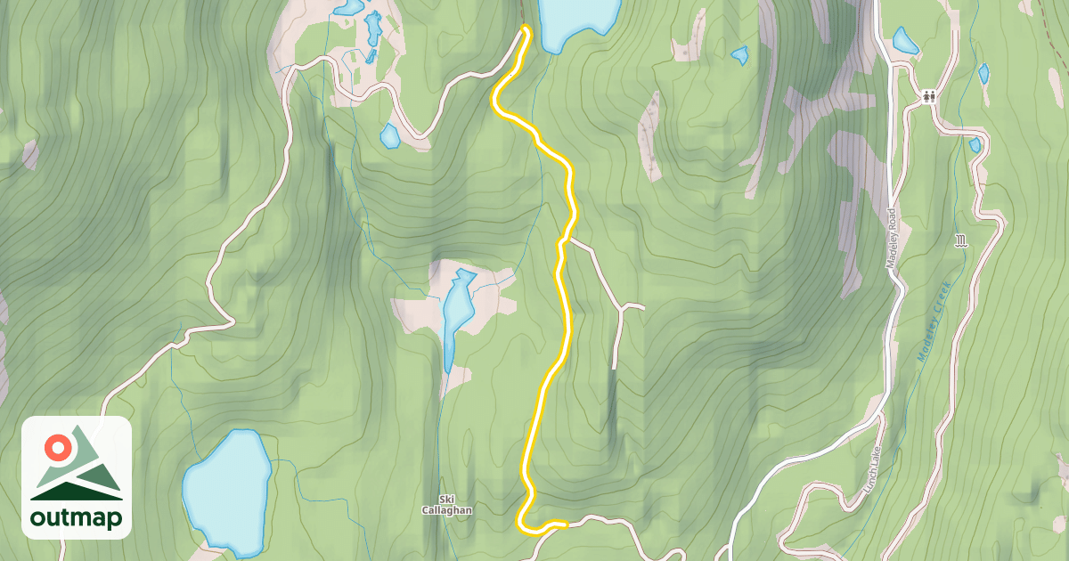 Map of Out of Woods