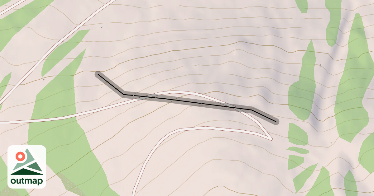 Map of Cat's Nix Trees