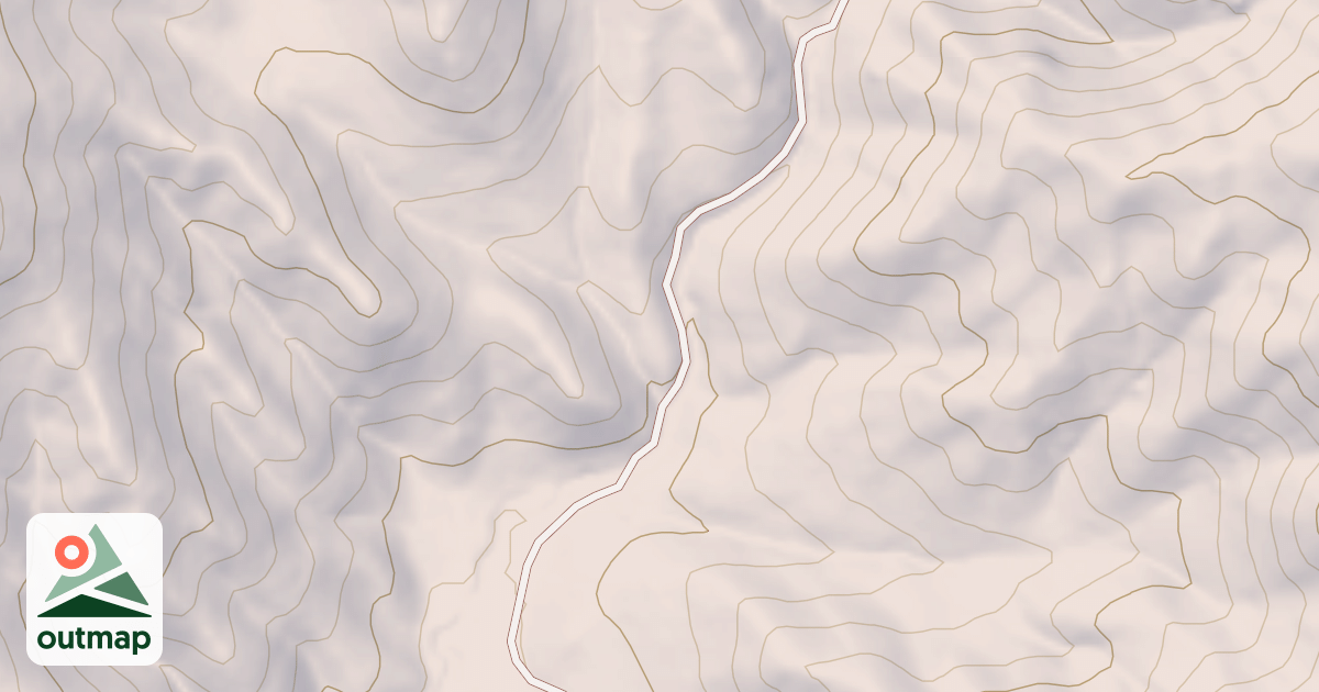 Map of Danskin #317