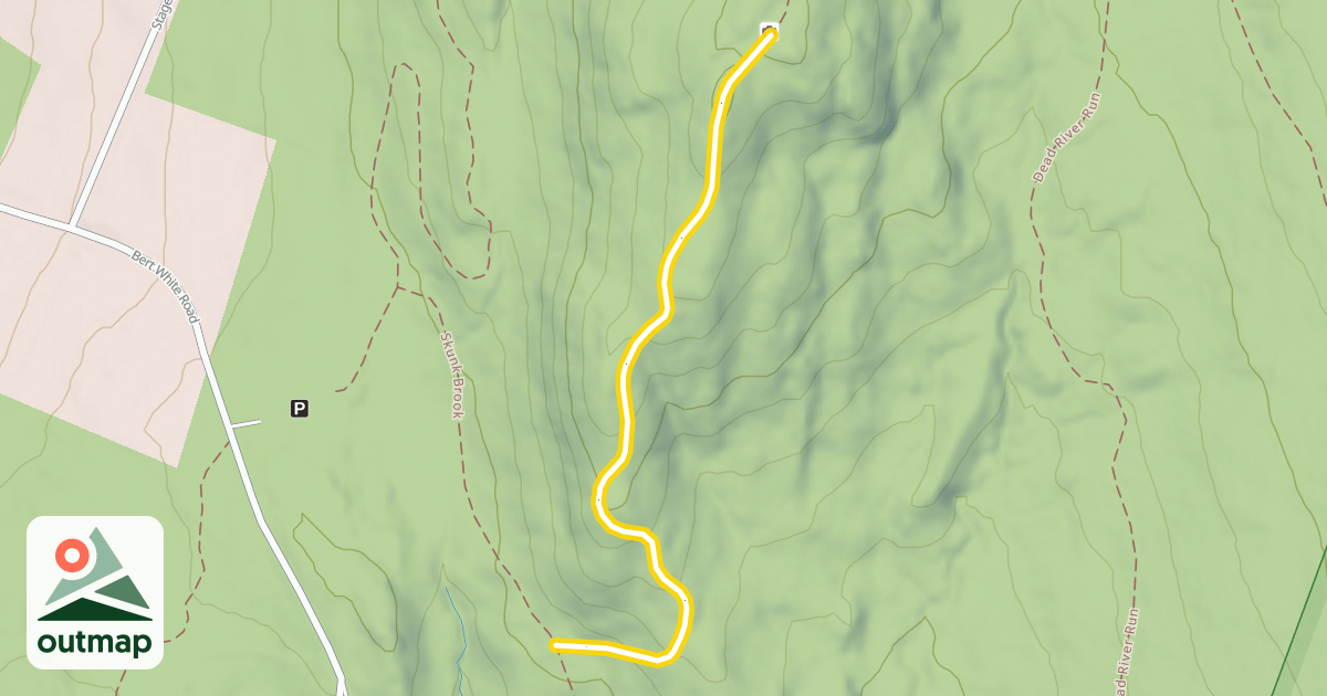 Map of Cobble Hill