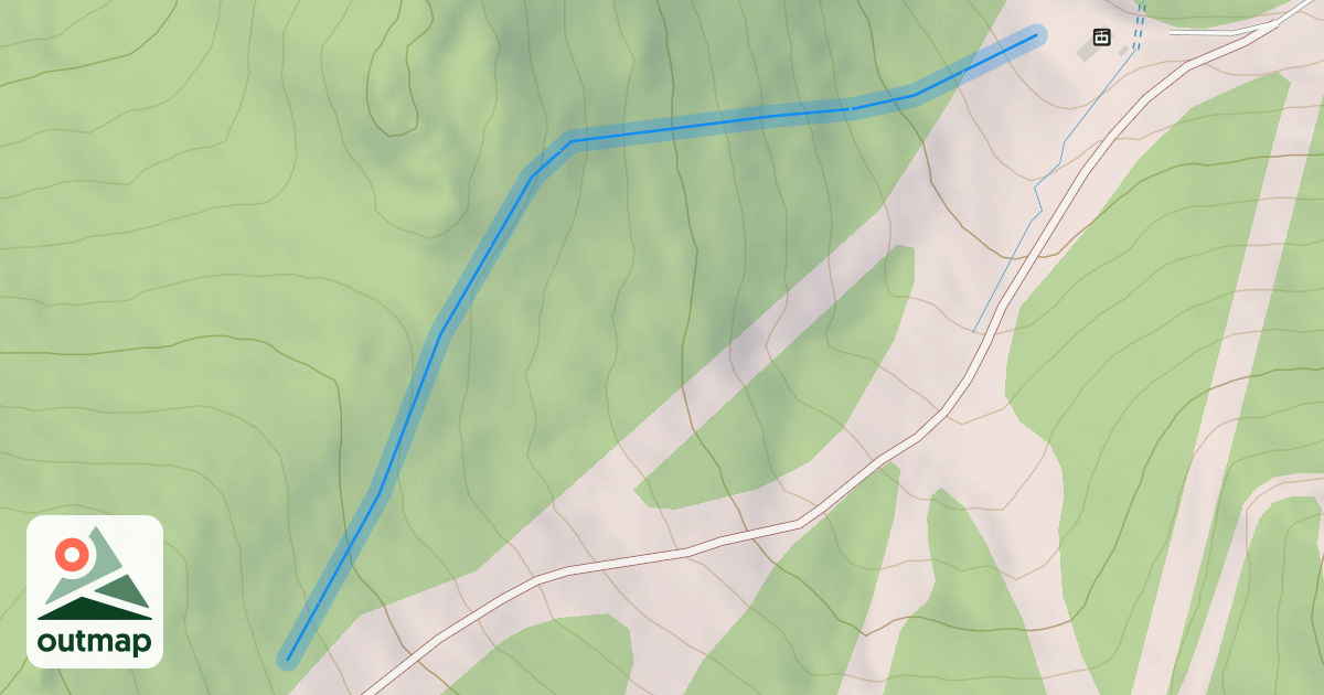 Map of The Pines