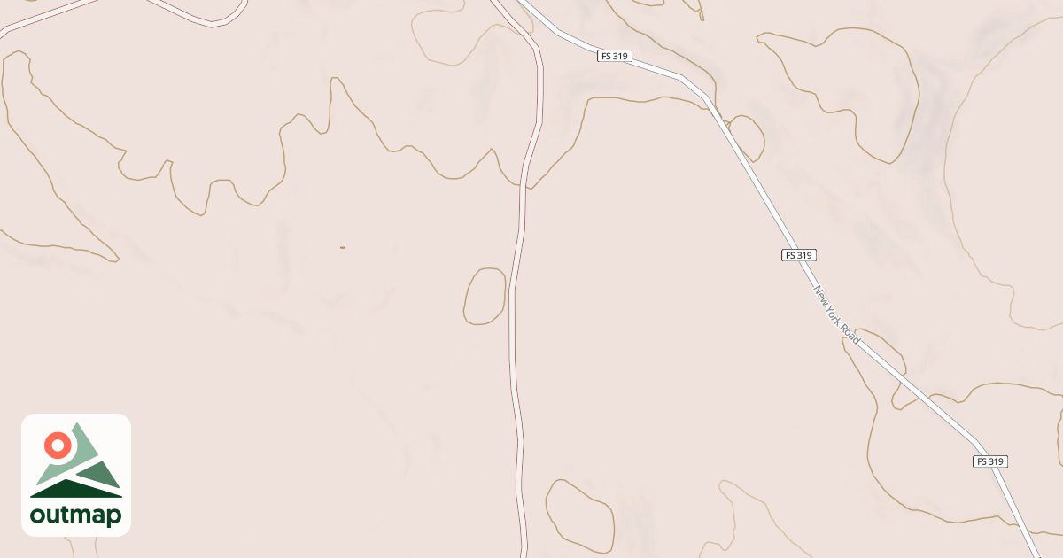 Map of USFS National Forest System Roads {0339AEA8-D1AA-456B-B31E-B0E49B2C4D3D}