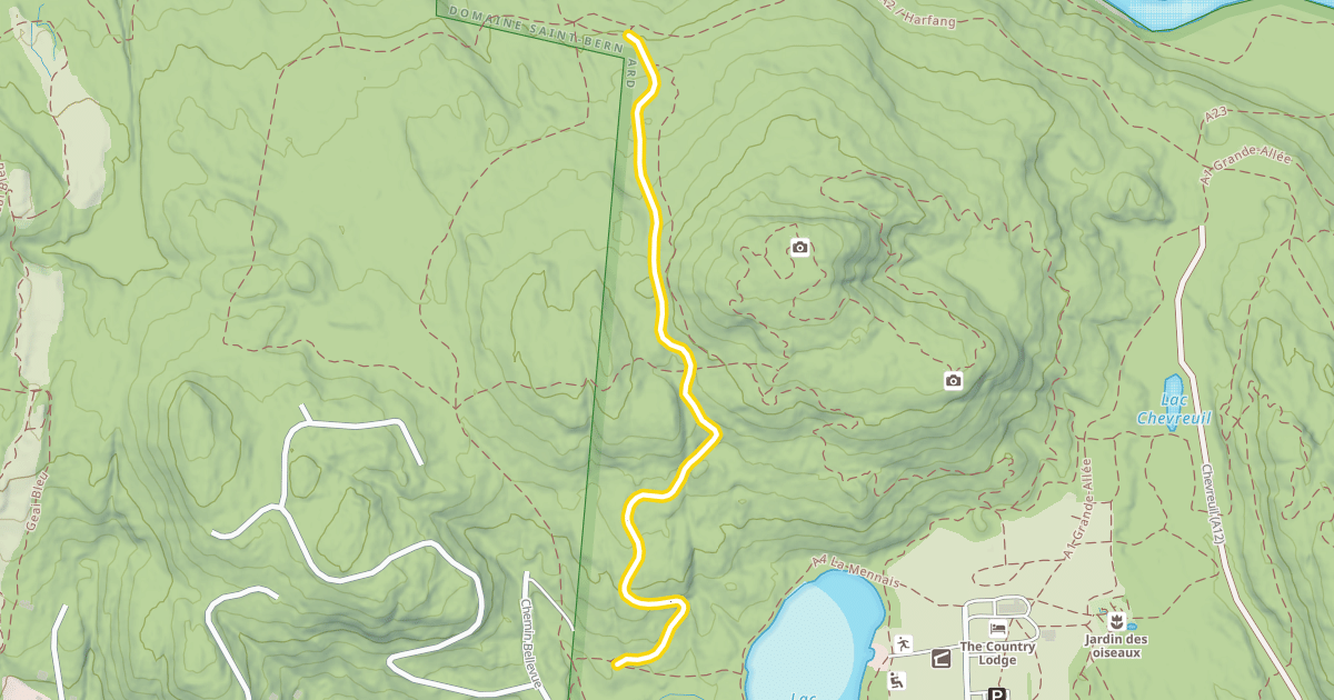 Map preview of A20 Jackrabbit