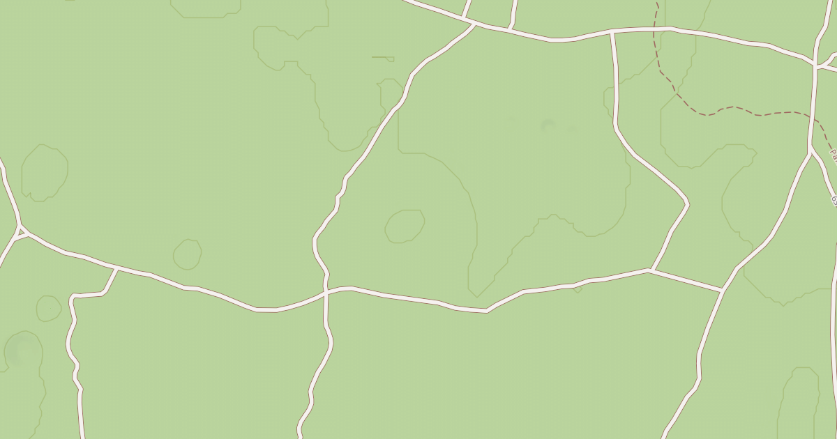 Map preview of USFS National Forest System Roads {567A77D0-1BD7-4C60-BE55-87B4A3A006CB}