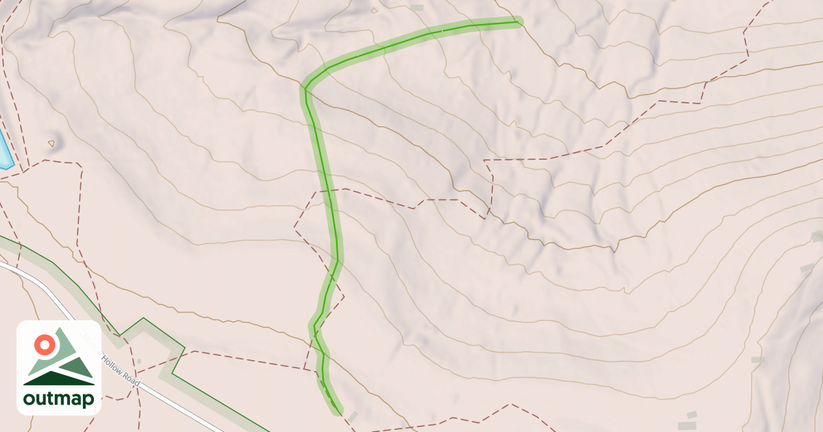 Map of Tannenbaum