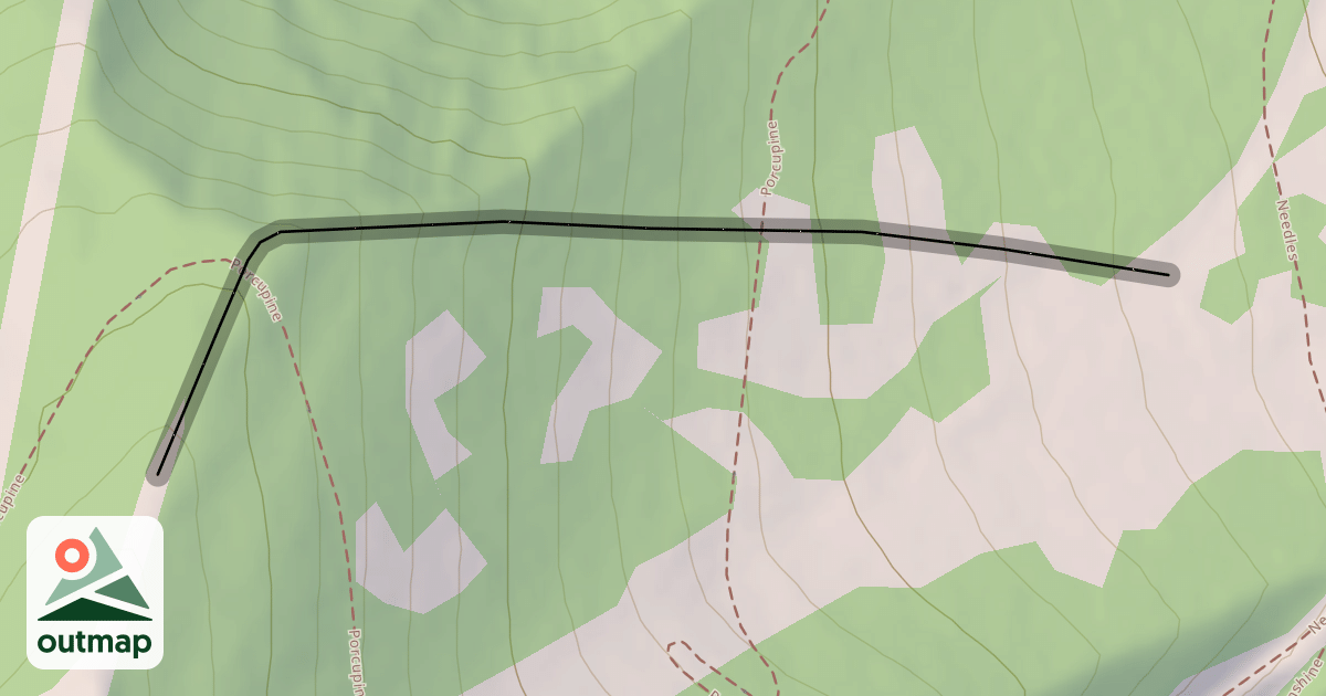 Map of Dwayne's
