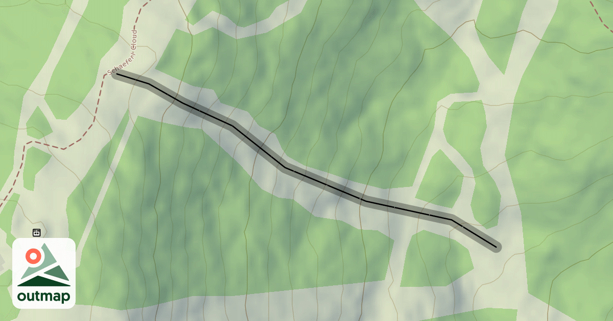 Map of Lies