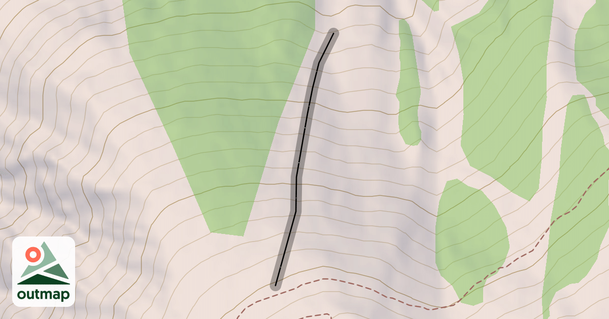 Map of David's Run