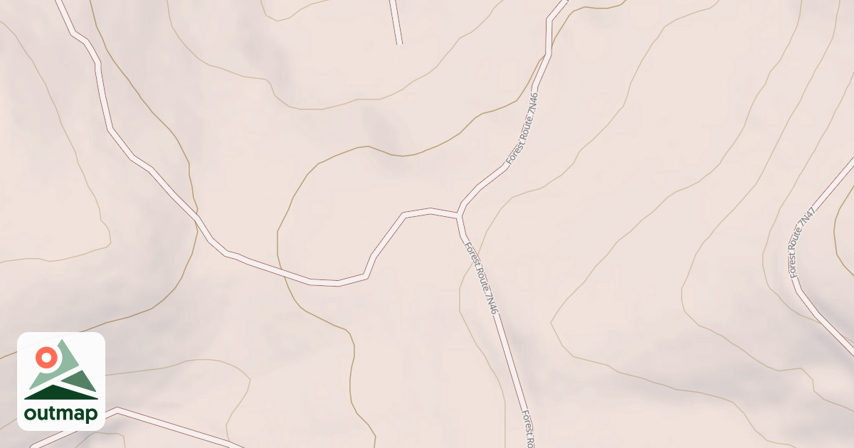 Map of USFS National Forest System Roads {0B07FA04-7C29-4696-B621-6001159F60C7}