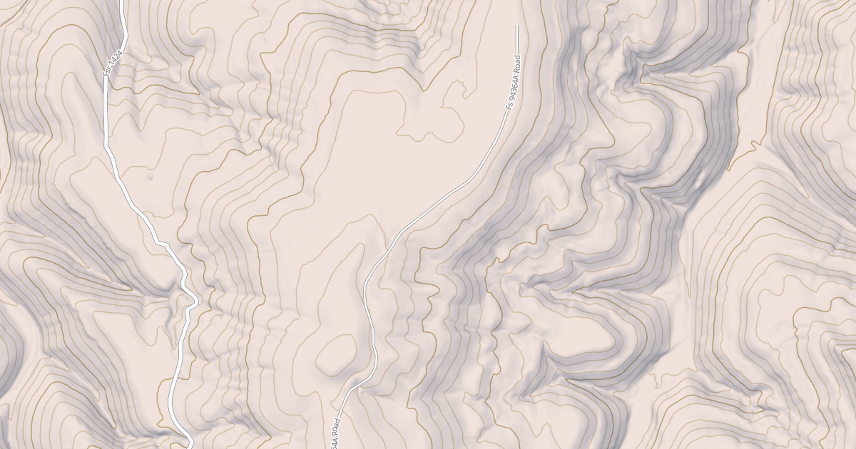 Map preview of USFS Motor Vehicle Use Map Roads {8BDEDA55-16AE-4769-AE5E-728DBC71EB5F}