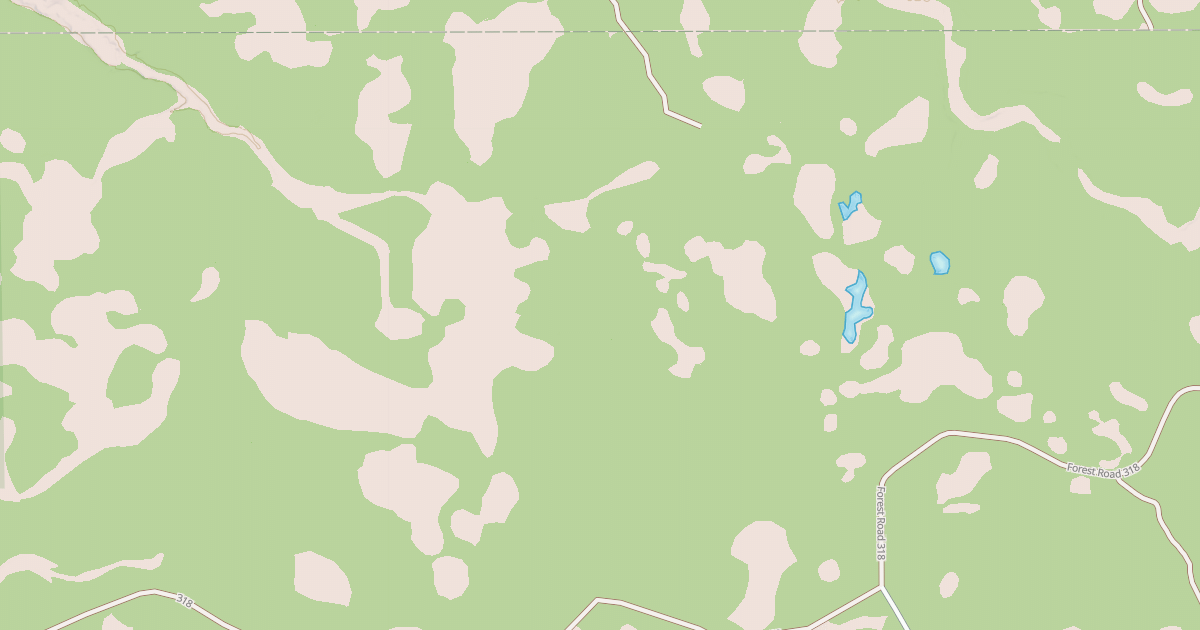 Map preview of USFS Motor Vehicle Use Map Roads {BD5B7D56-0C00-4C35-BE6D-141EDA3DC89A}