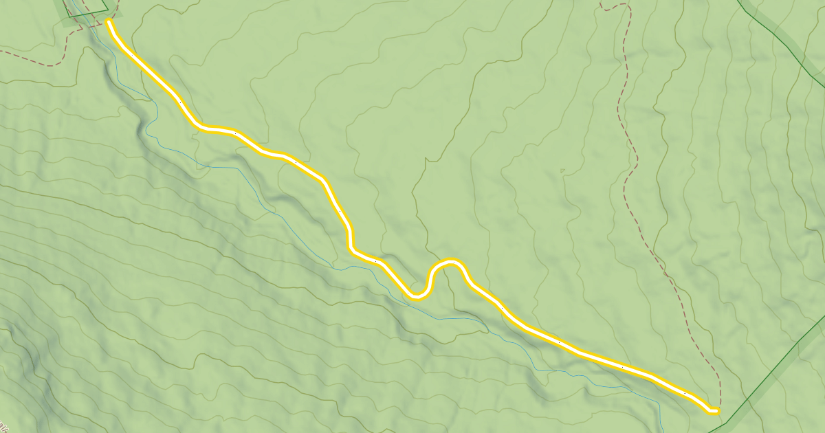 Map preview of Cascade Brook Trail