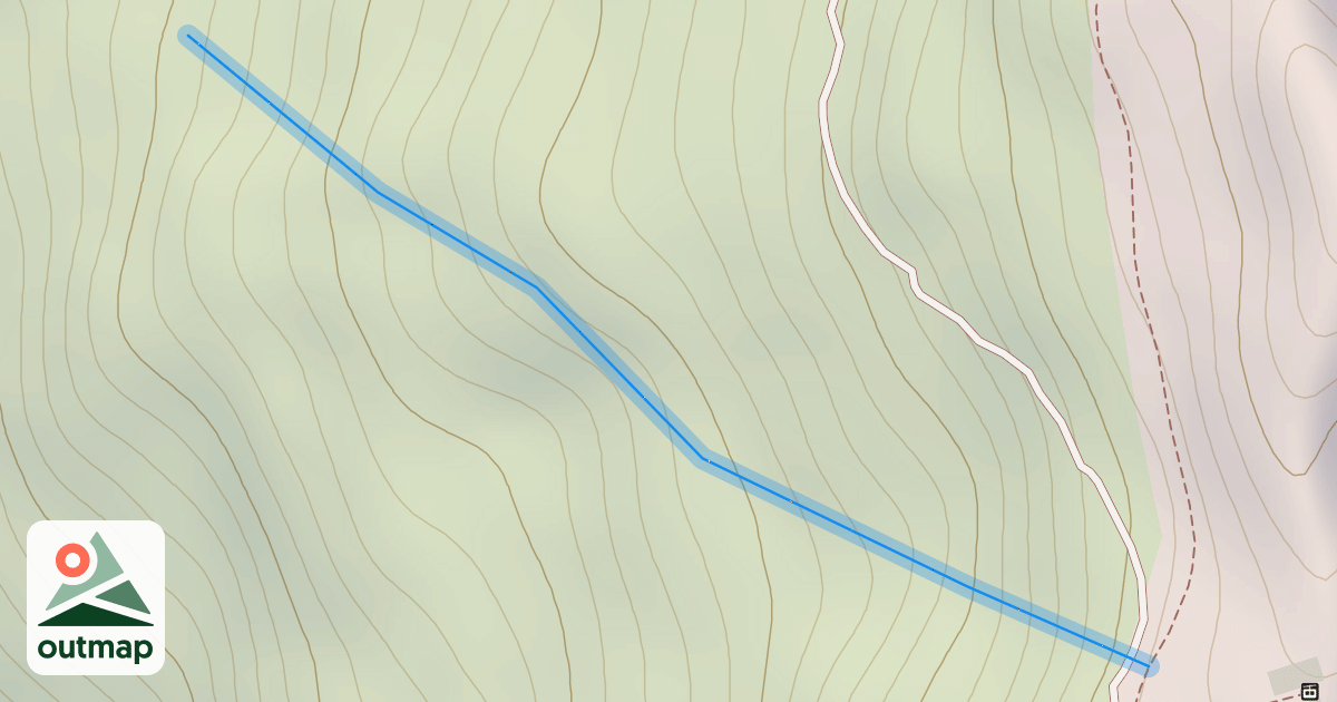 Map of Showtime