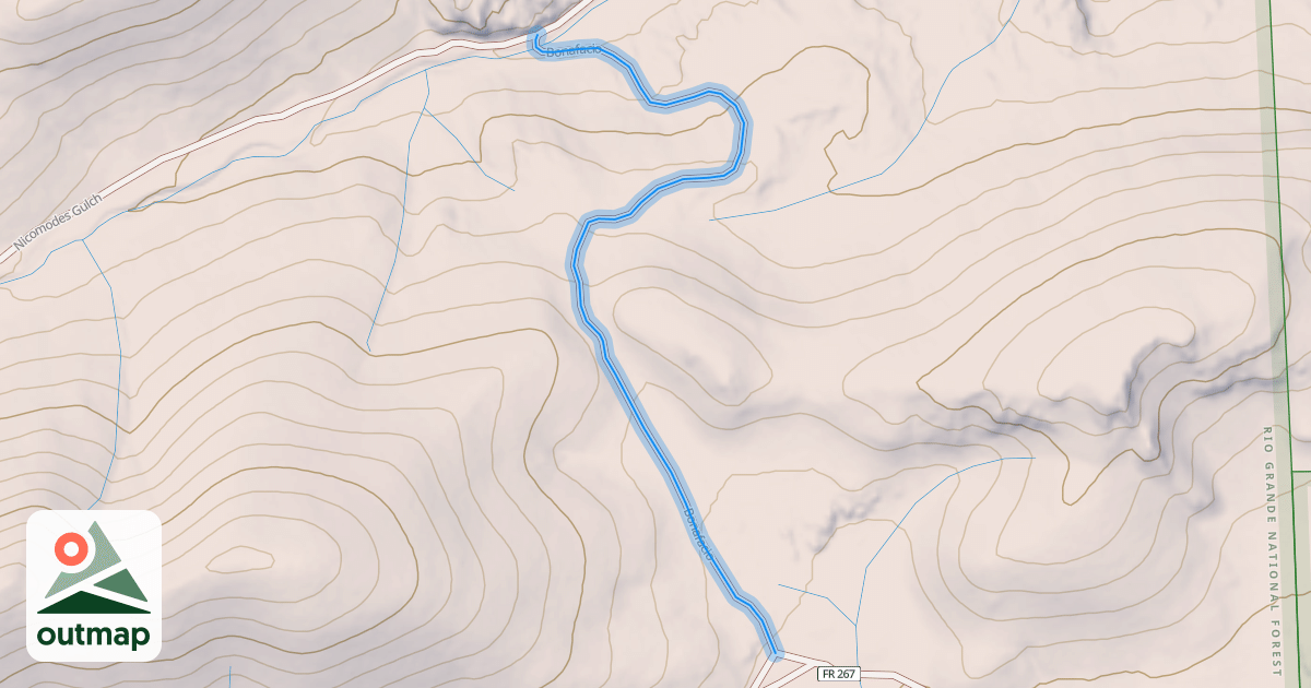 Map of Bonafacio