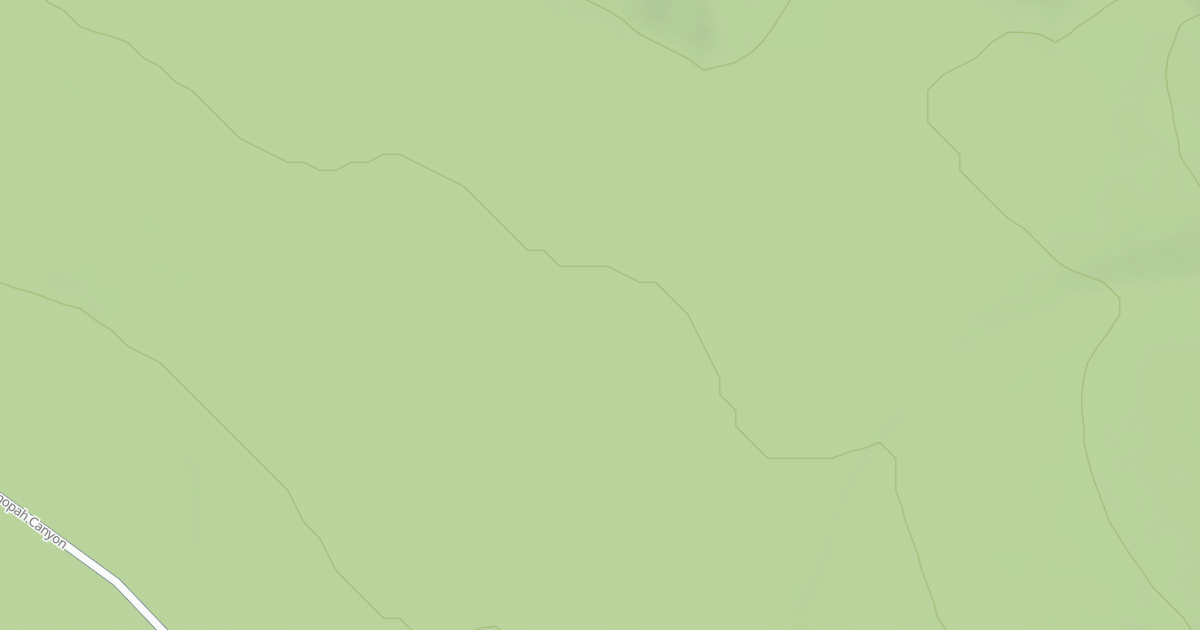 Map preview of BLM National GTLF Public Motorized Roads 10f91b9f-1149-4434-af82-27aaea8d9336