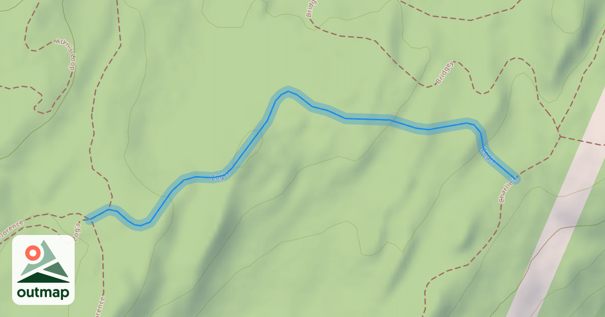 Map of Zog's