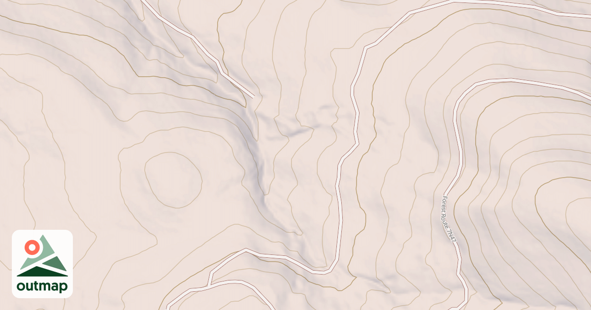 Map of USFS National Forest System Roads {8C9D6AD0-0910-46BF-97BD-BA14CAC343F0}